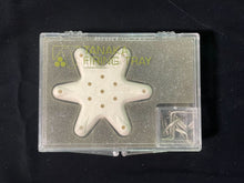 Load image into Gallery viewer, Starshype Pocelen Firing Tray